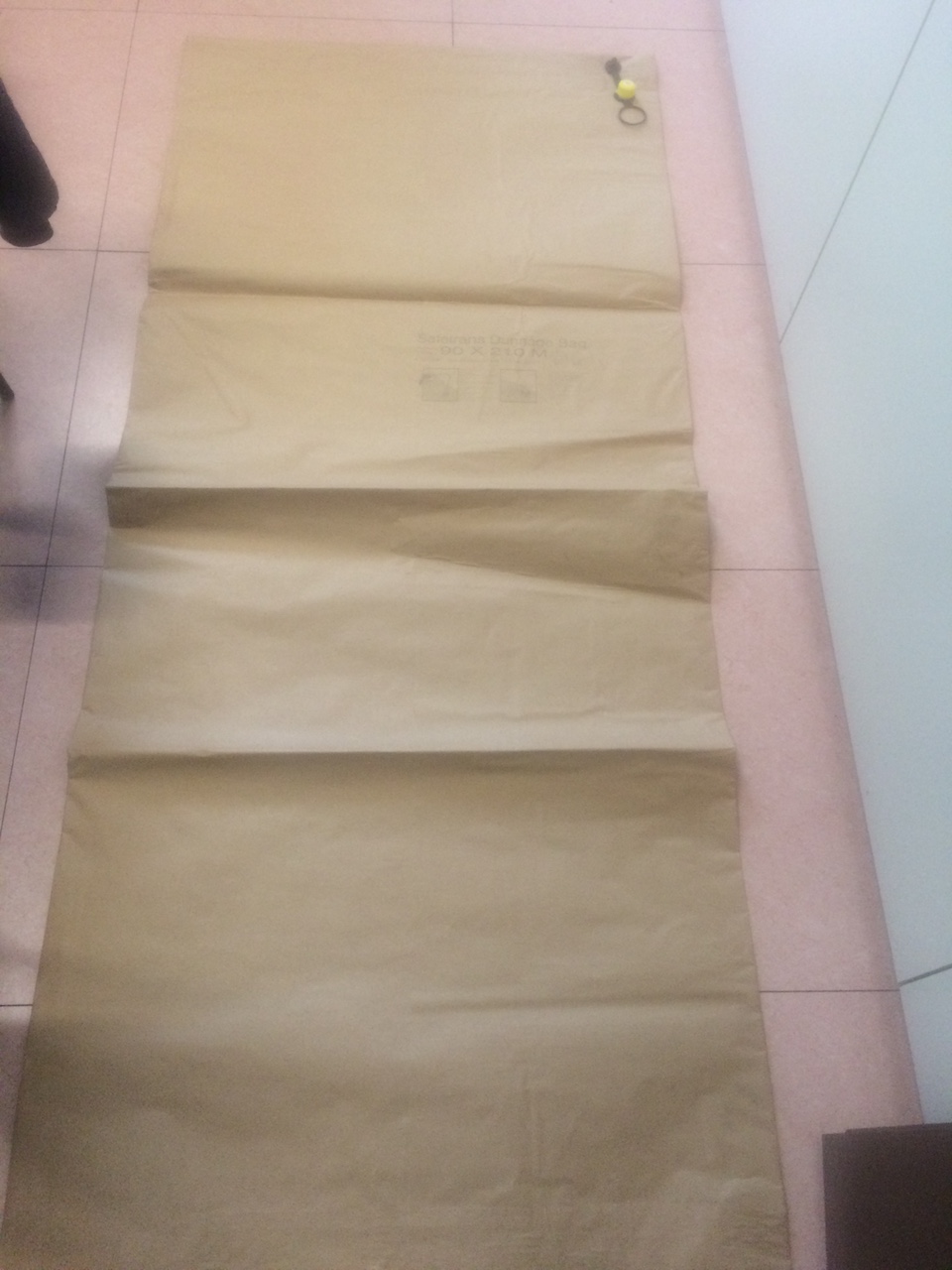 Airbag Per Spedizione, 200 Sacchetti Gonfiabili 'imballaggio